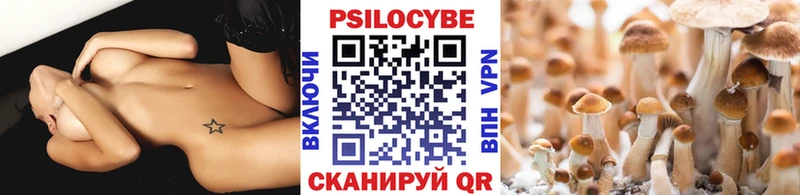 Псилоцибиновые грибы Cubensis  Купить  Кашира 